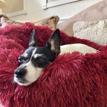 Charger l&#39;image dans la galerie, FluffyFriendShop™ - Coussin Anti-Stress Pour Chien
