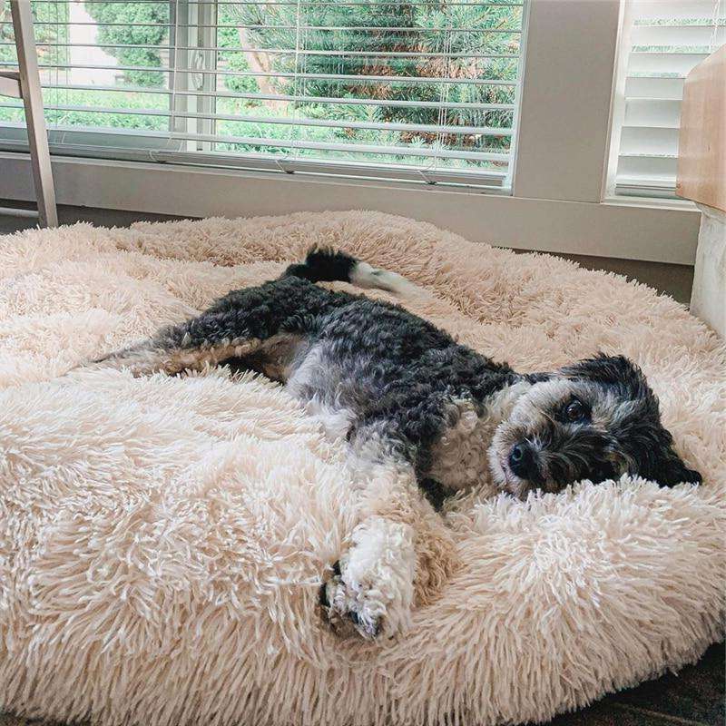 FluffyFriendShop™ - Coussin Anti-Stress Pour Chien